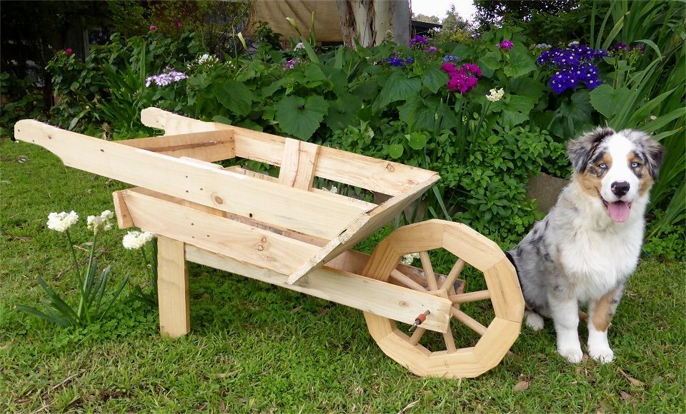 Every man and his dog needs a barrow made from a pallet