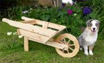 Every man and his dog needs a barrow made from a pallet