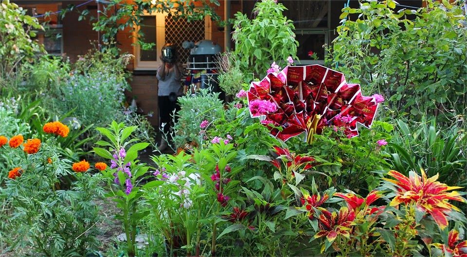 Garden flower ideas Bunnings community