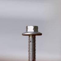A hex head screw