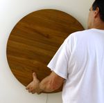 Step 6.2 Hang your new light disc.jpg