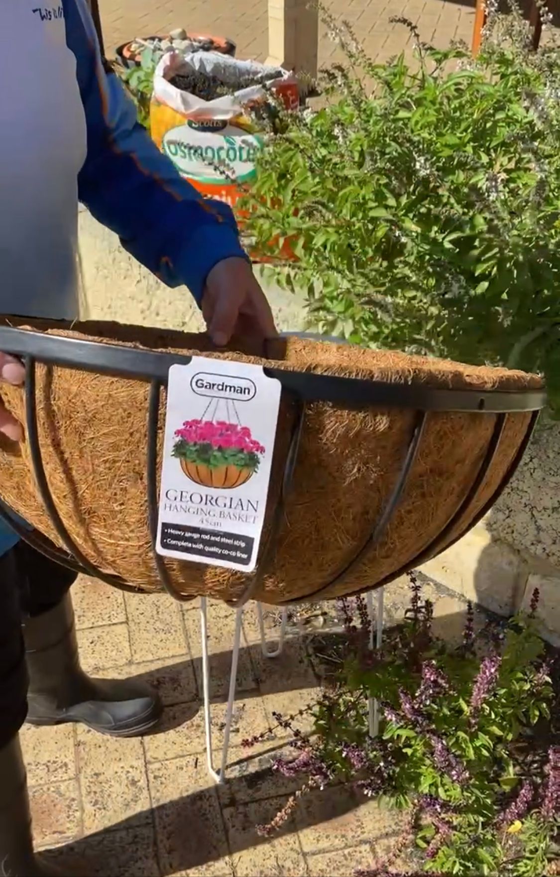 How to create a colourful hanging basket Bunnings community