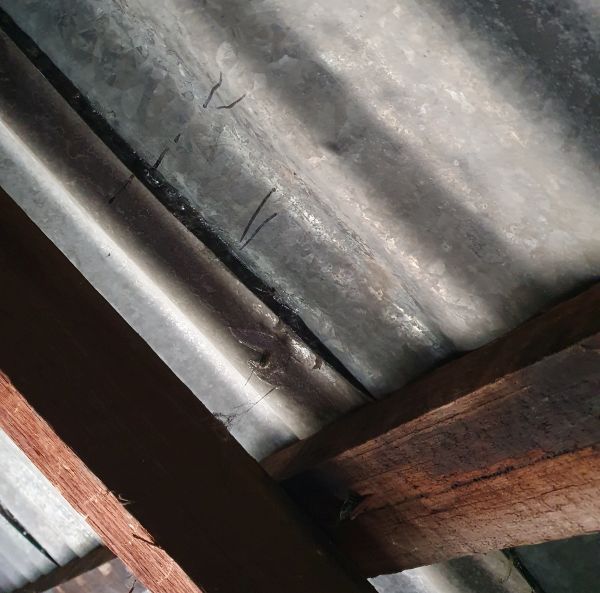 How to fix a leaking galvanised iron roo... Bunnings community
