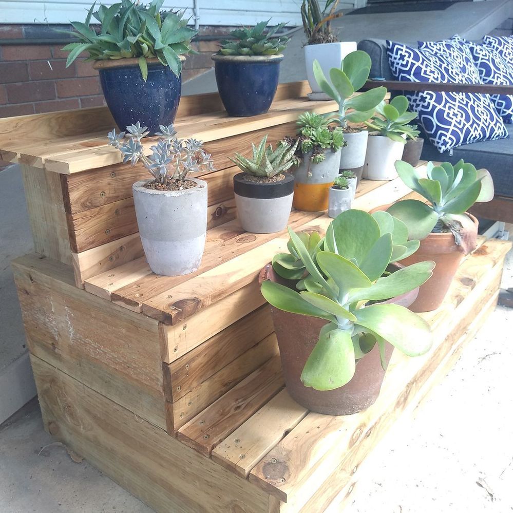 Complete with Plants.jpg