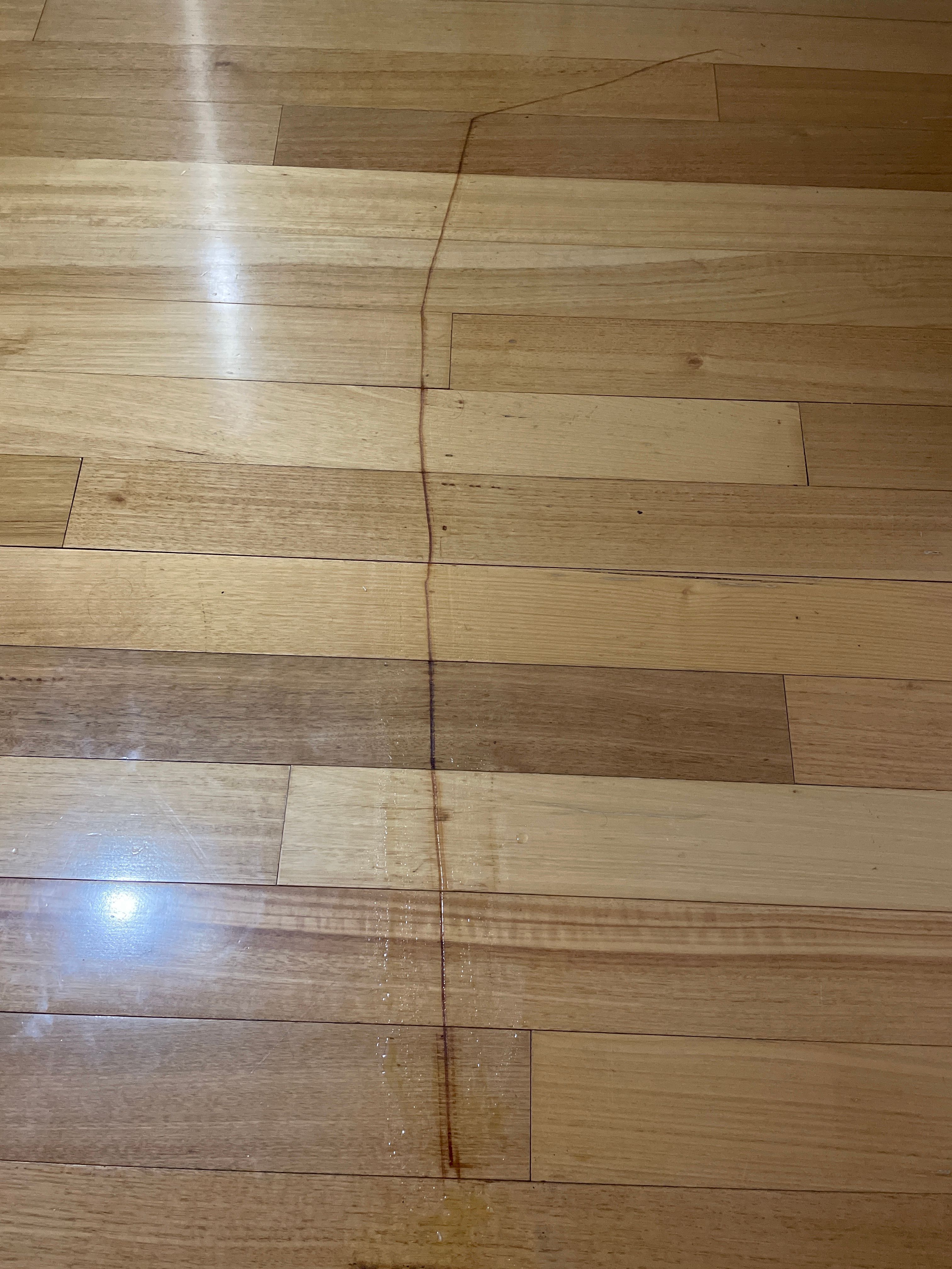 How to repair the scratch in our polishe... Bunnings community