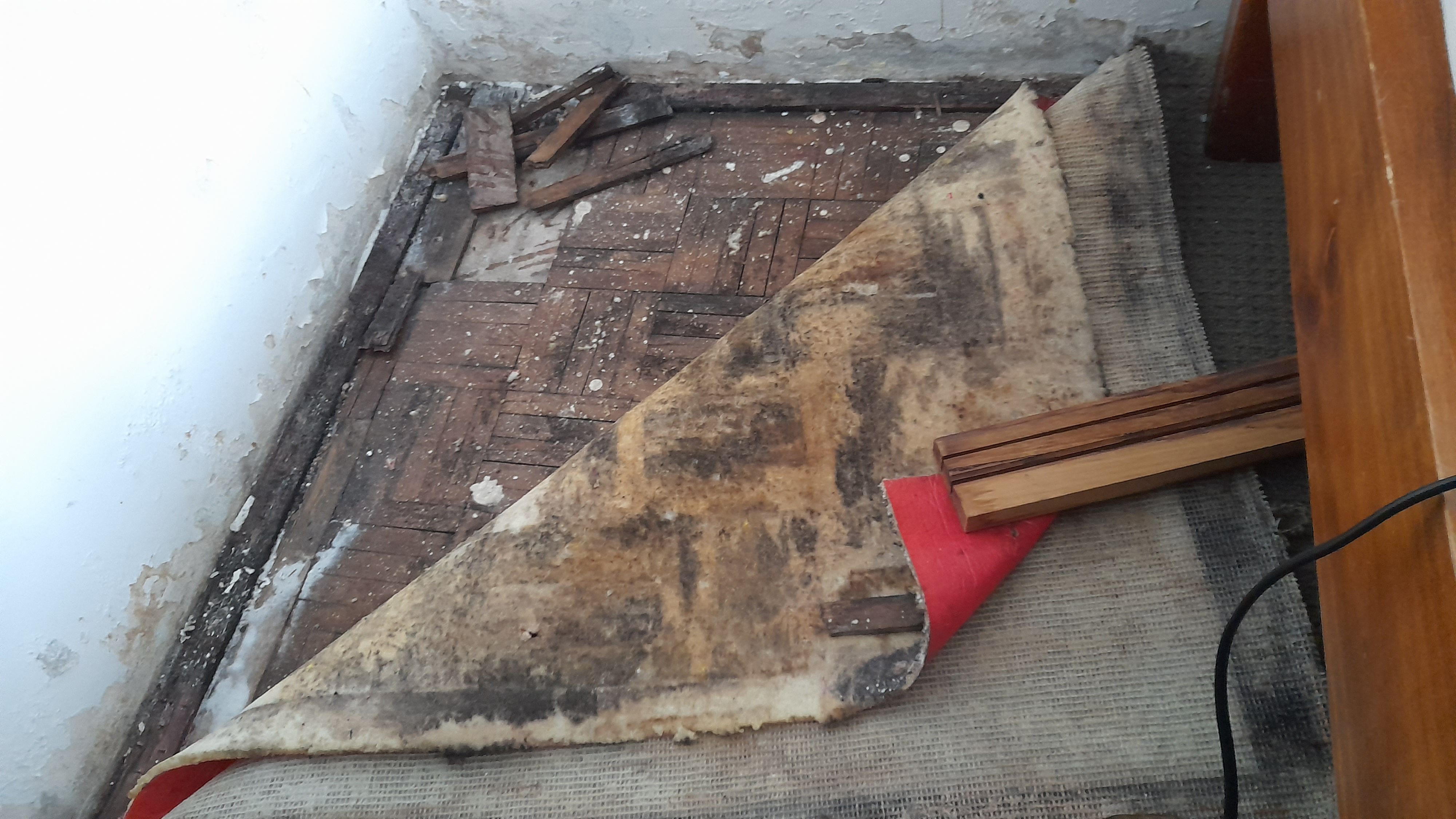 How to remove mould in carpet underlay? Bunnings community