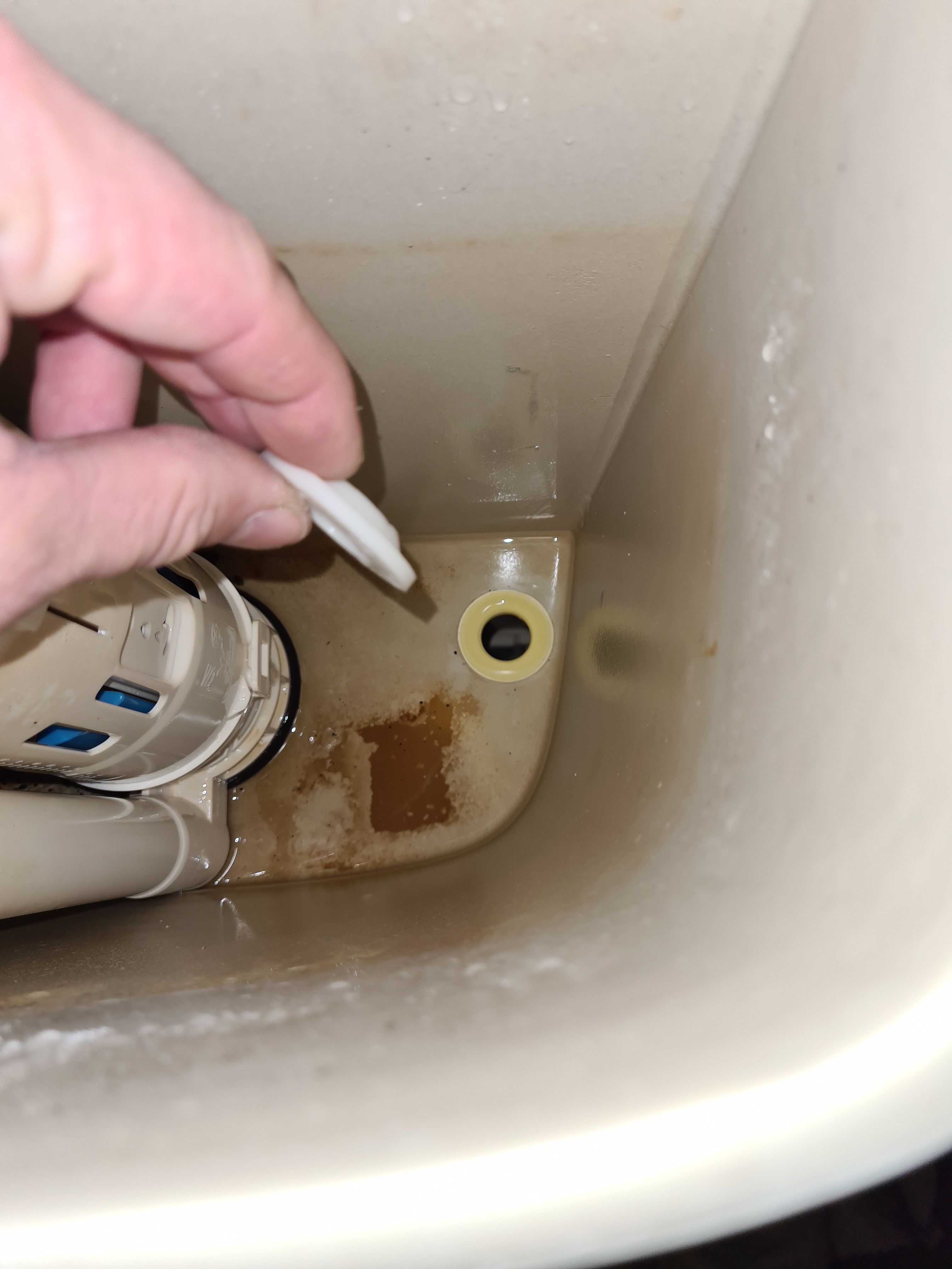 How to change a toilet system inlet Bunnings community