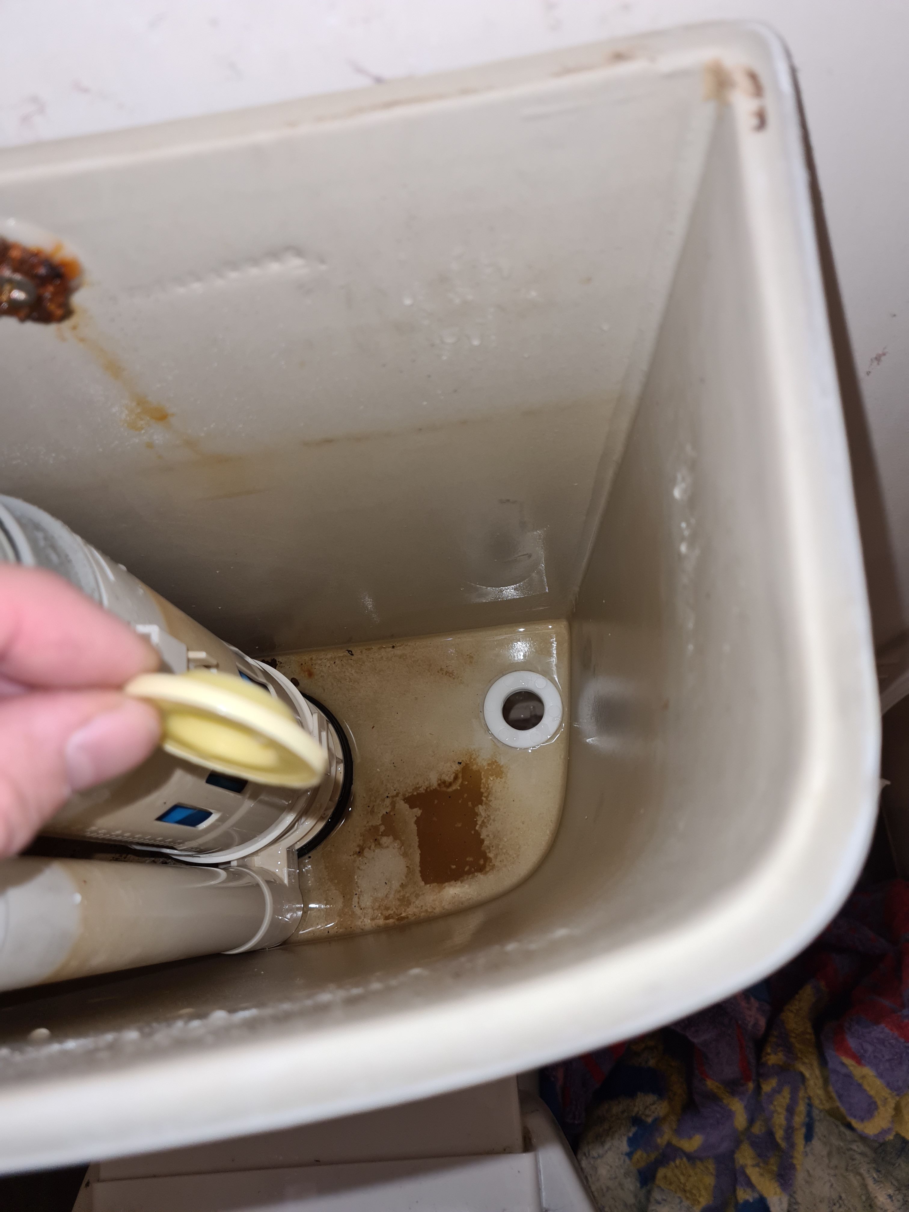 How to change a toilet system inlet Bunnings community