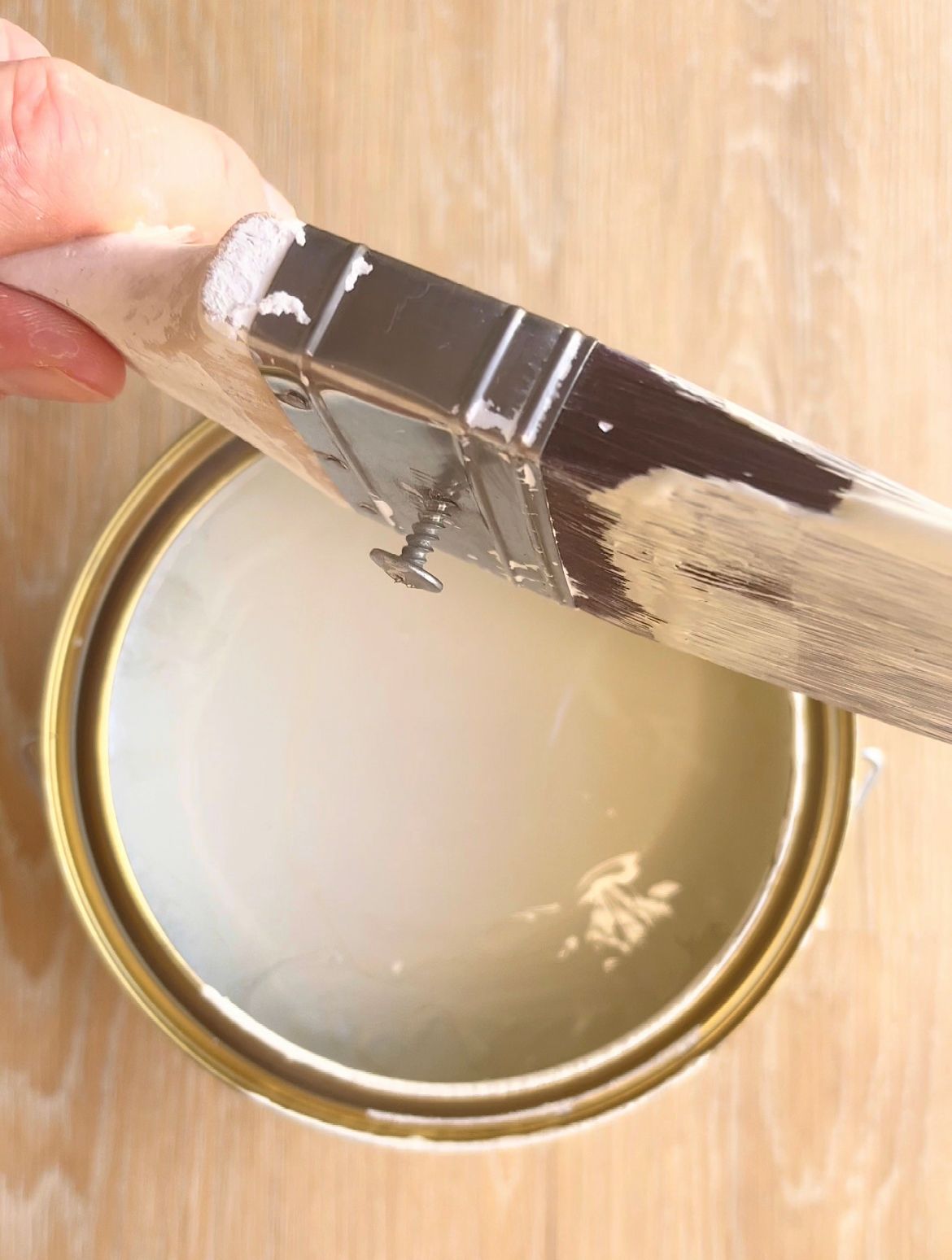 Your best painting tips Bunnings community