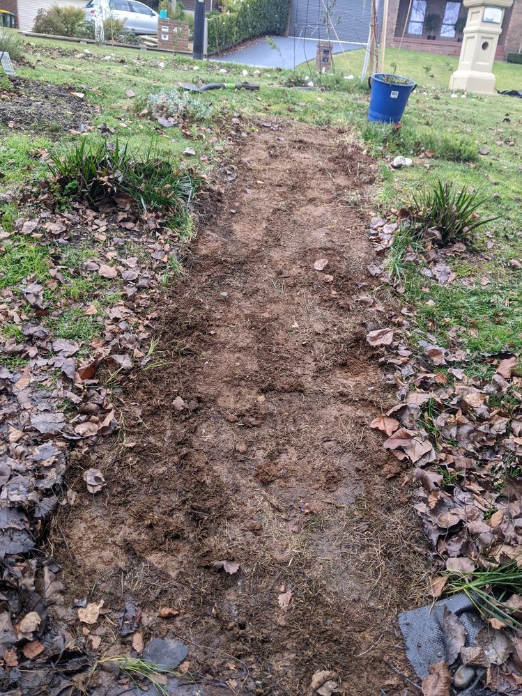 Grand Reveal Strip 1