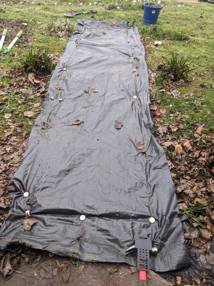 Weedmat back on ready for planting