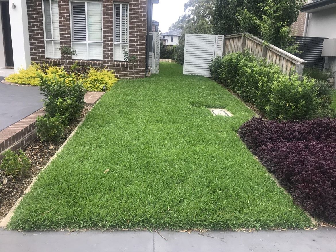 North Facing front lawn