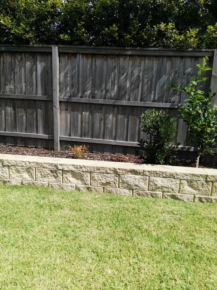 Part of Garden bed on west side