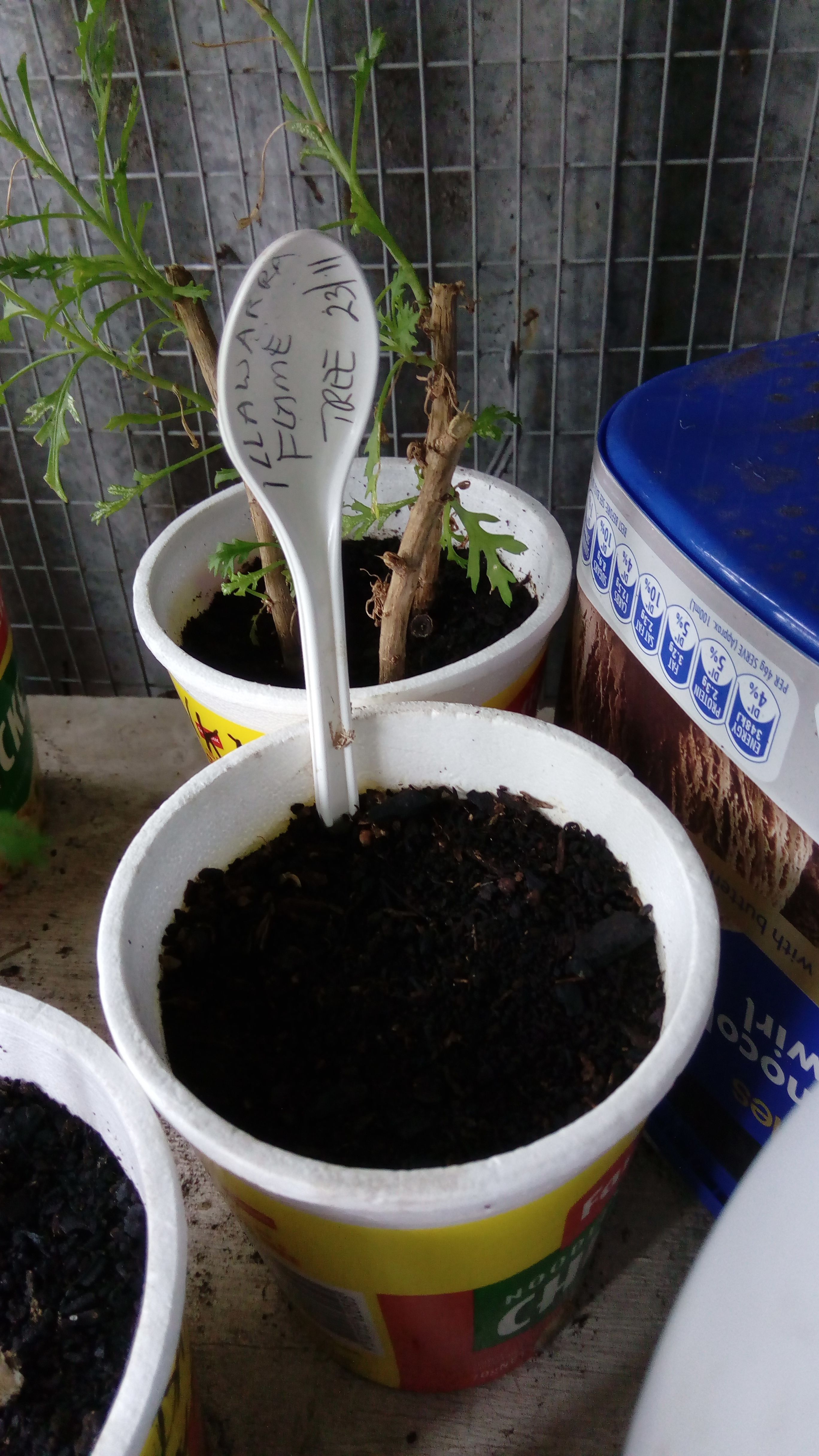 How do you tag your plants? Bunnings community