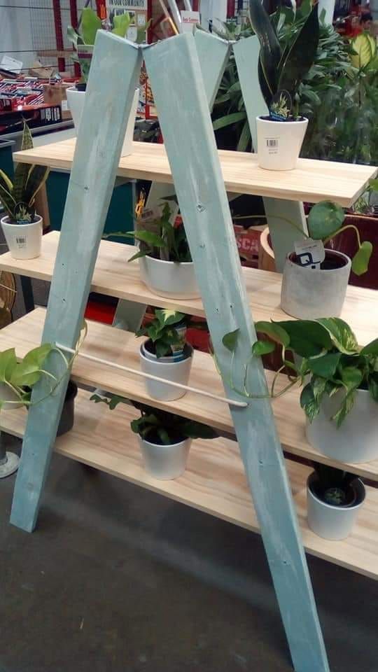 Recycled pallet ladder plant stand.jpg