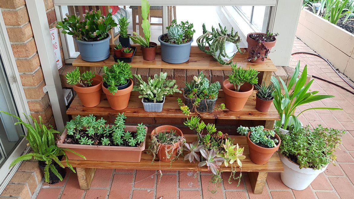 7 stylish plant stands Bunnings community