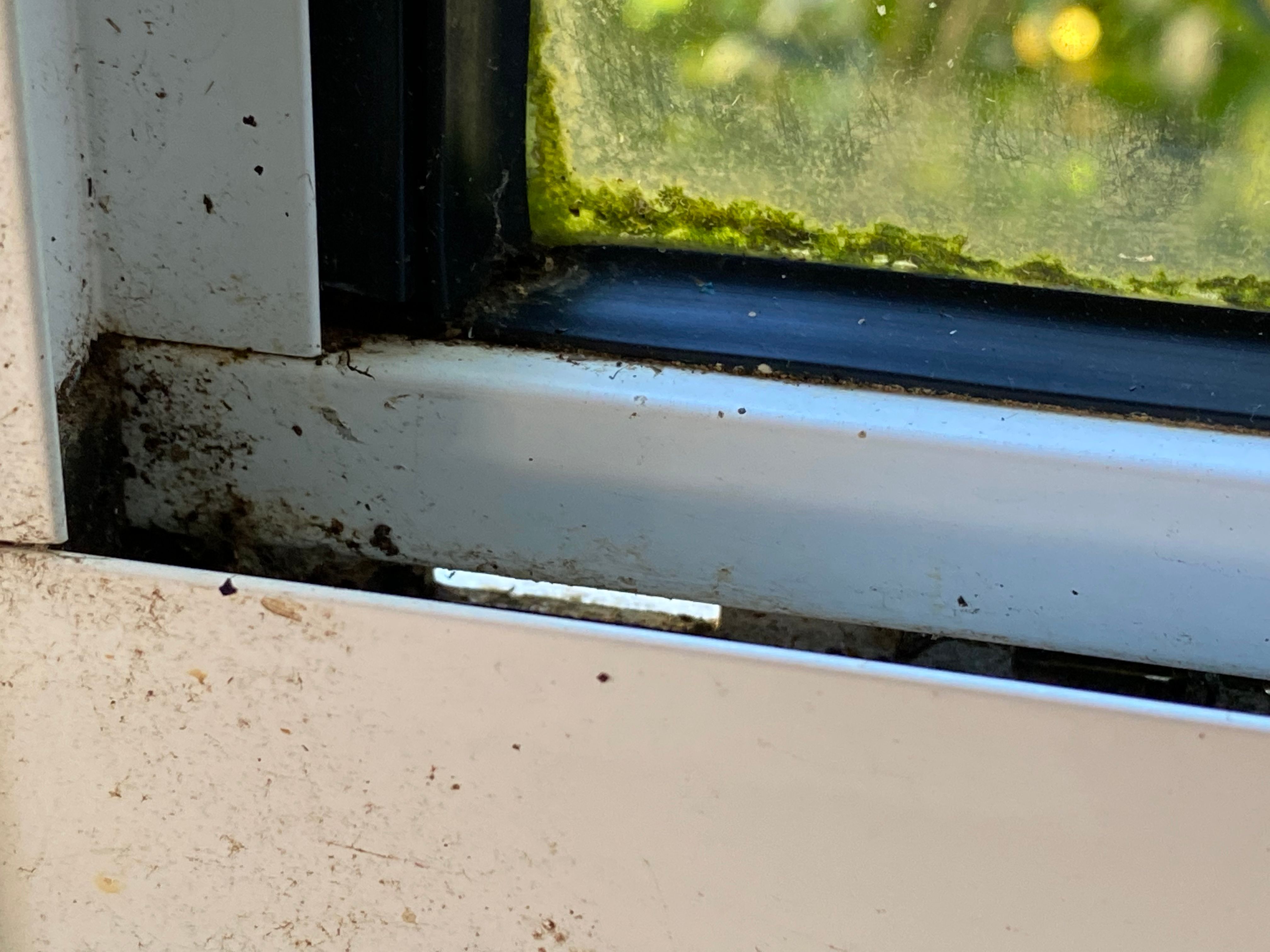 How to seal the gaps in a metal garage? Bunnings community