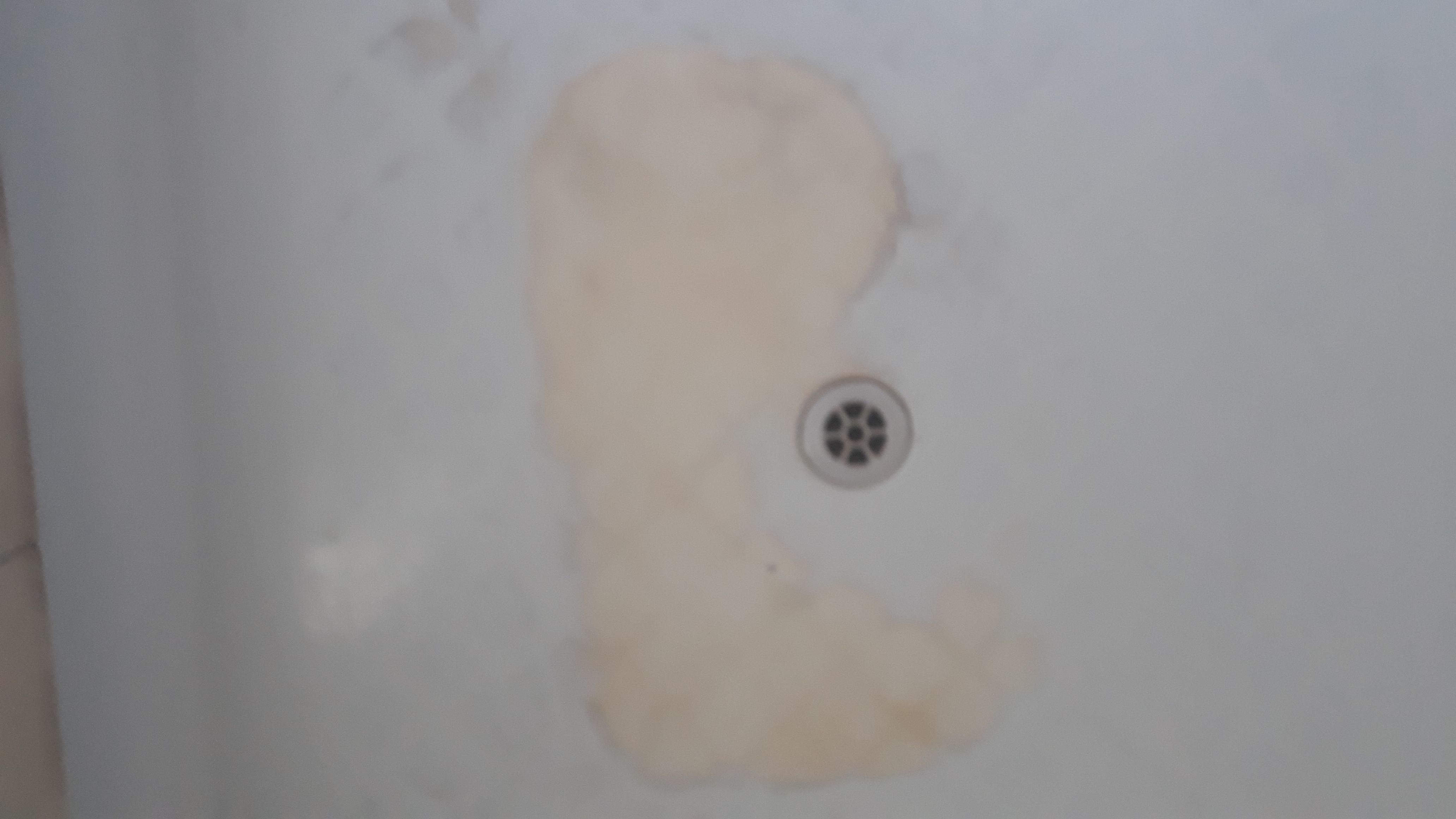 How to paint a shower base? Bunnings community