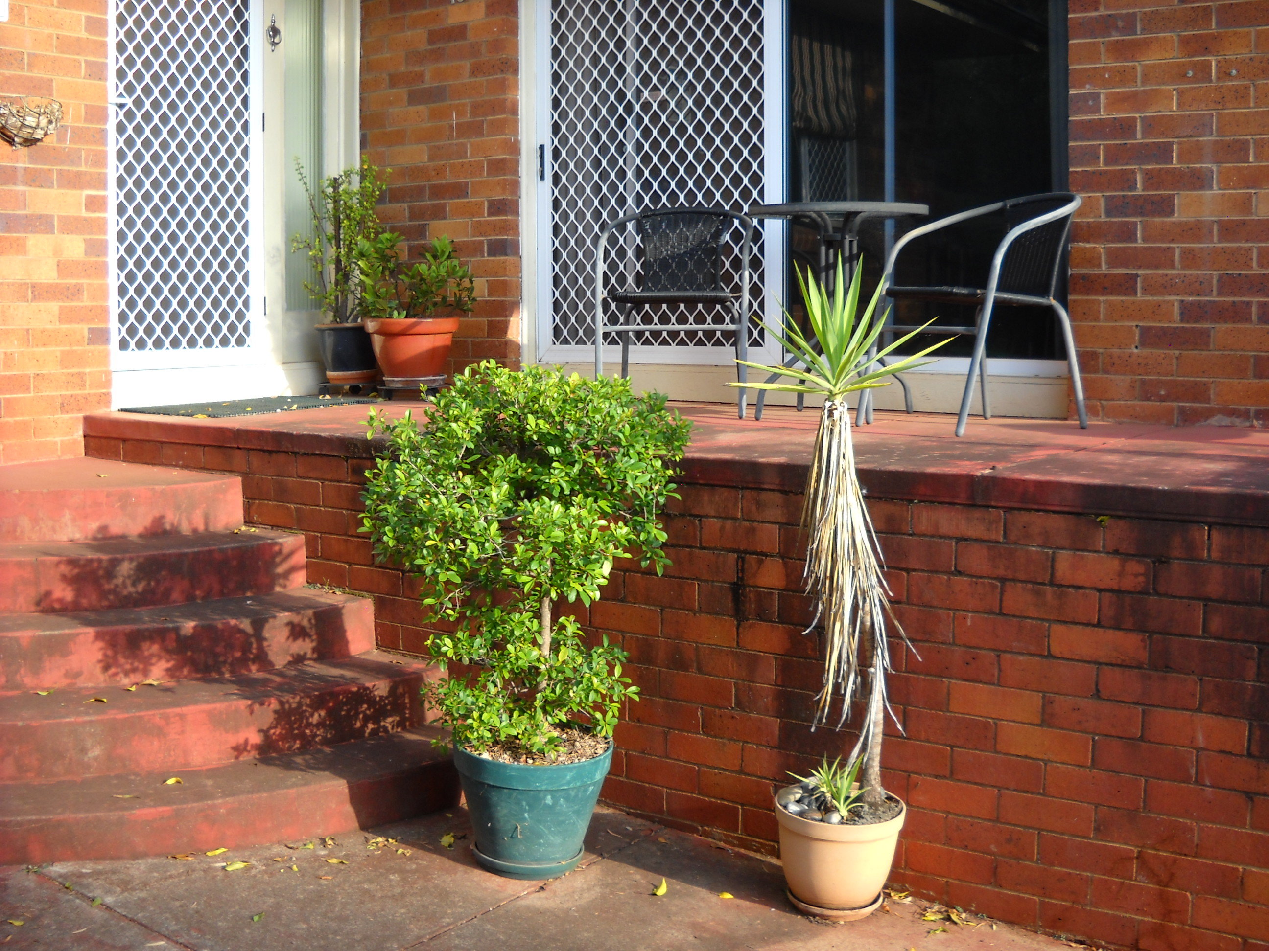 Solved Ideas for fencing a front verandah Bunnings community