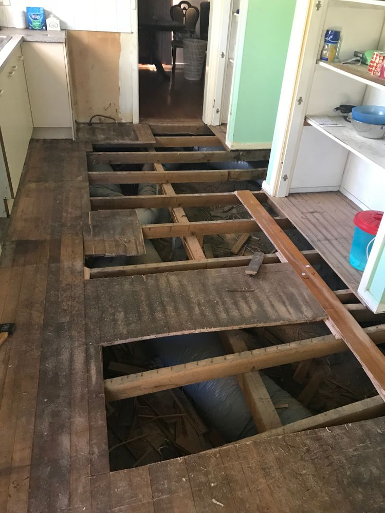 floor rotten water in timber