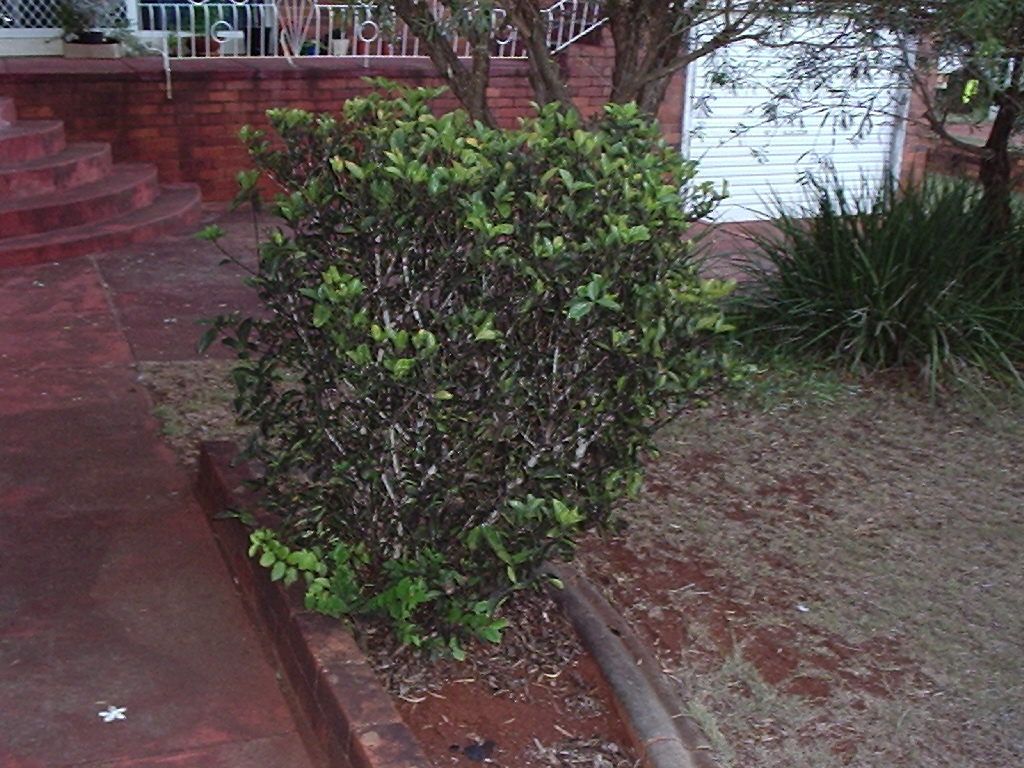 Central path & right