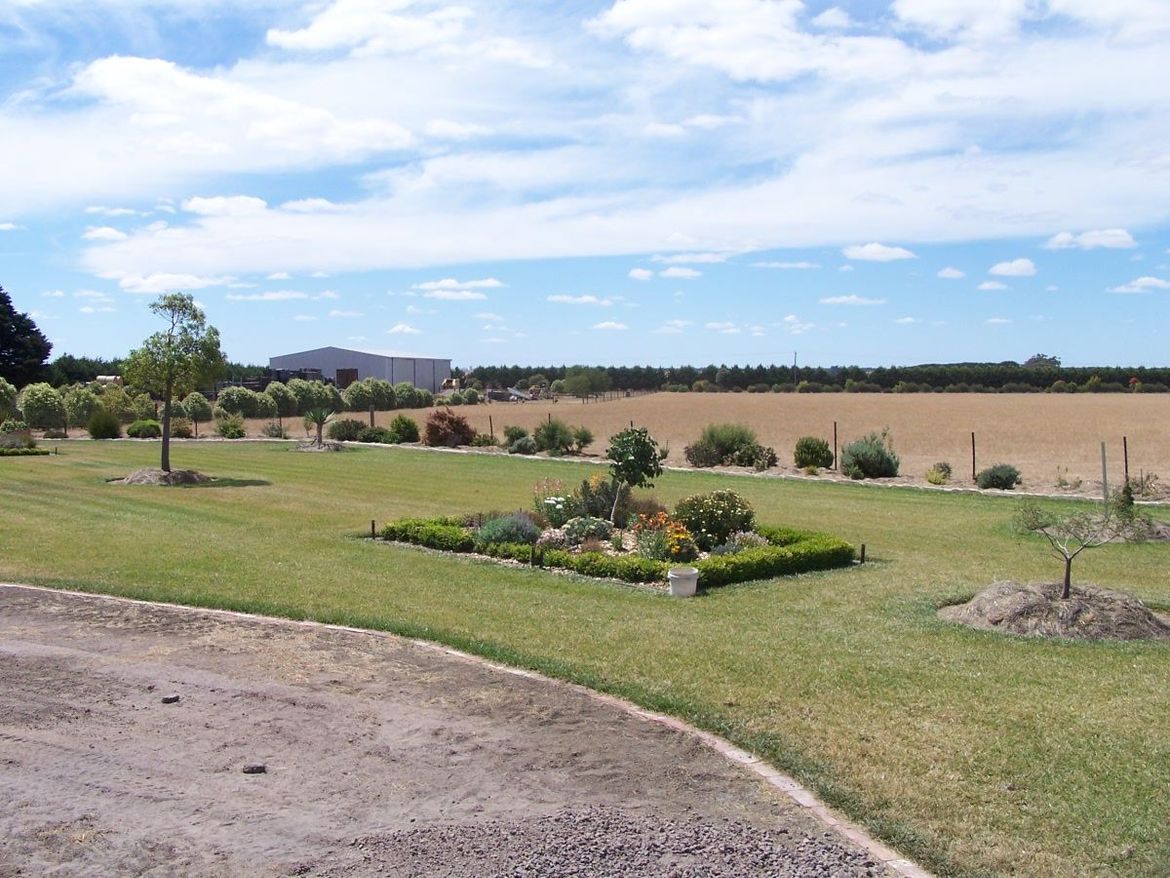 Front lawn plants.jpg