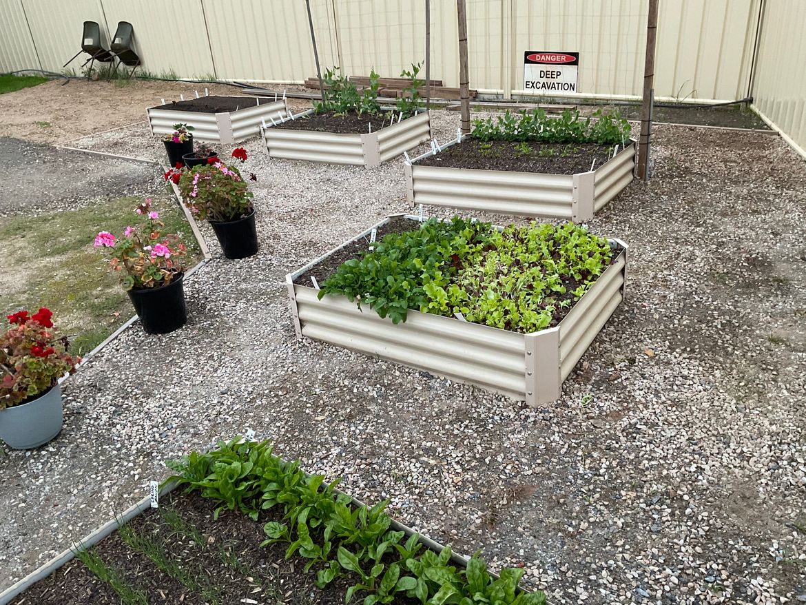 Community vegetable garden Bunnings community