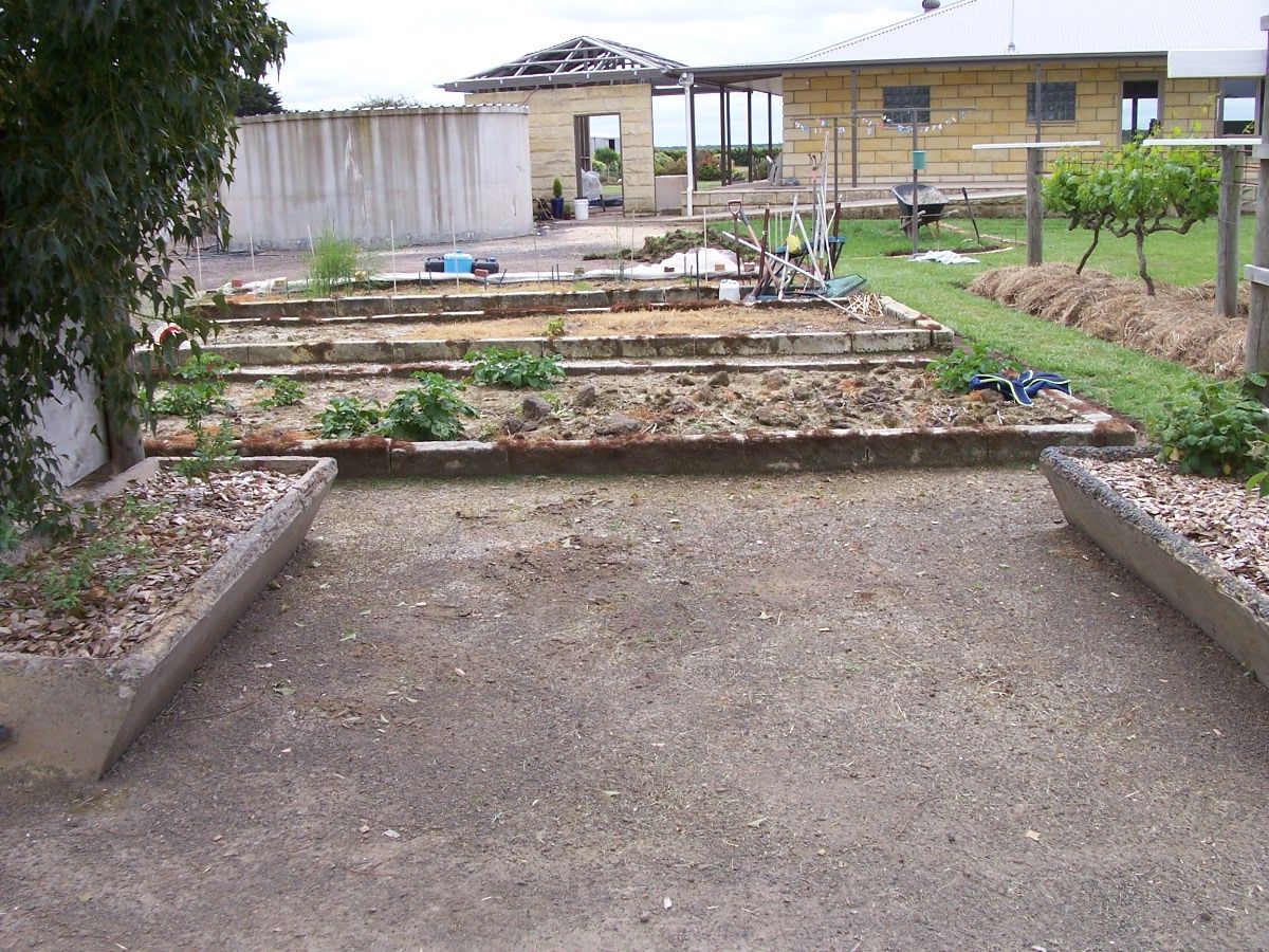 Community vegetable garden Bunnings community