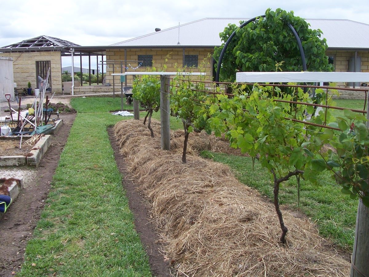 Community vegetable garden Bunnings community