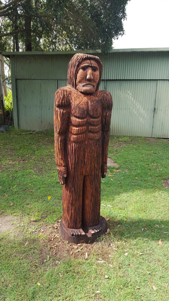 Kilcoy Yowie in my garden