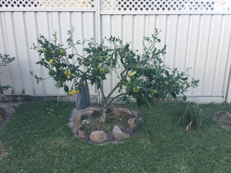 Not looking so healthy anymore!