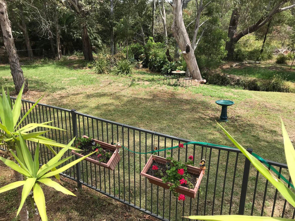 9 dead trees just in this picture