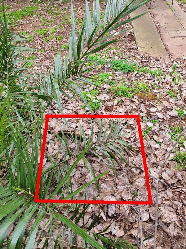 No longer visible or functional