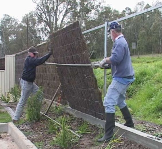 Brushwood Fence. Building?? Bunnings community
