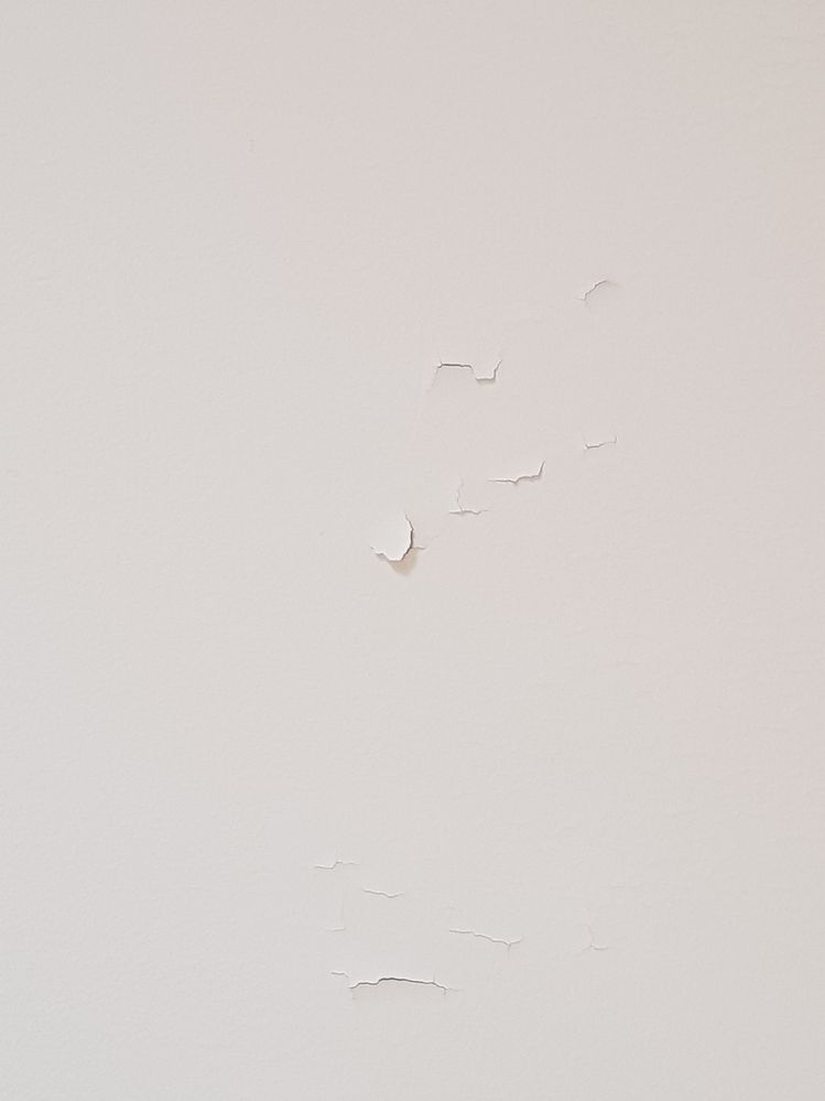 What some of the problem in the roof looked like