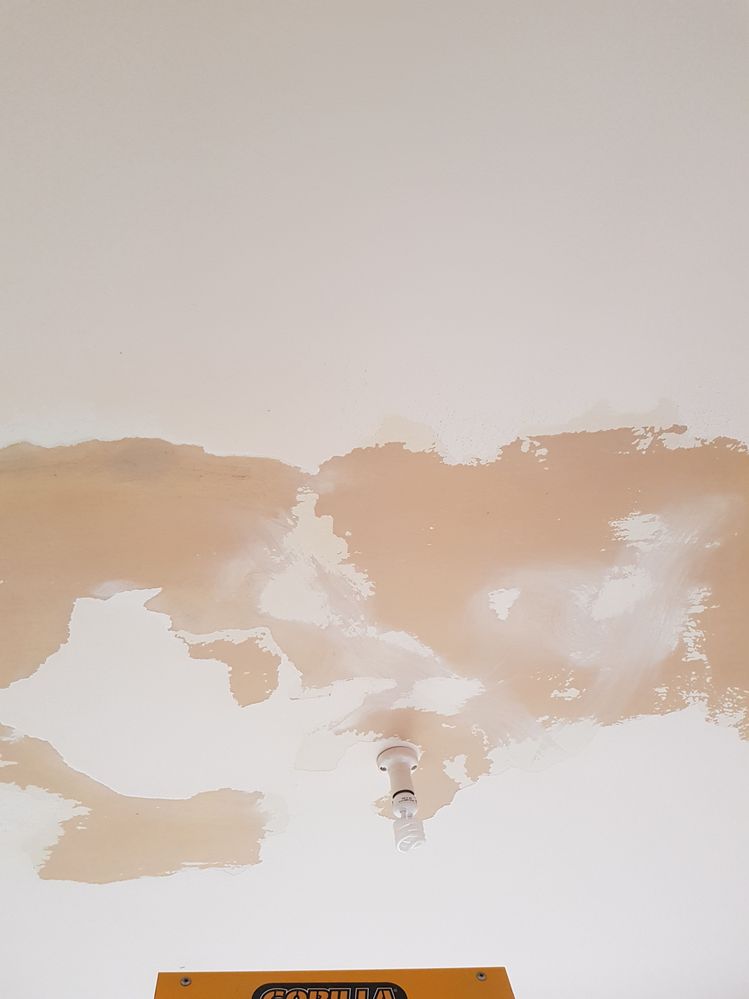 Some of our scraping work