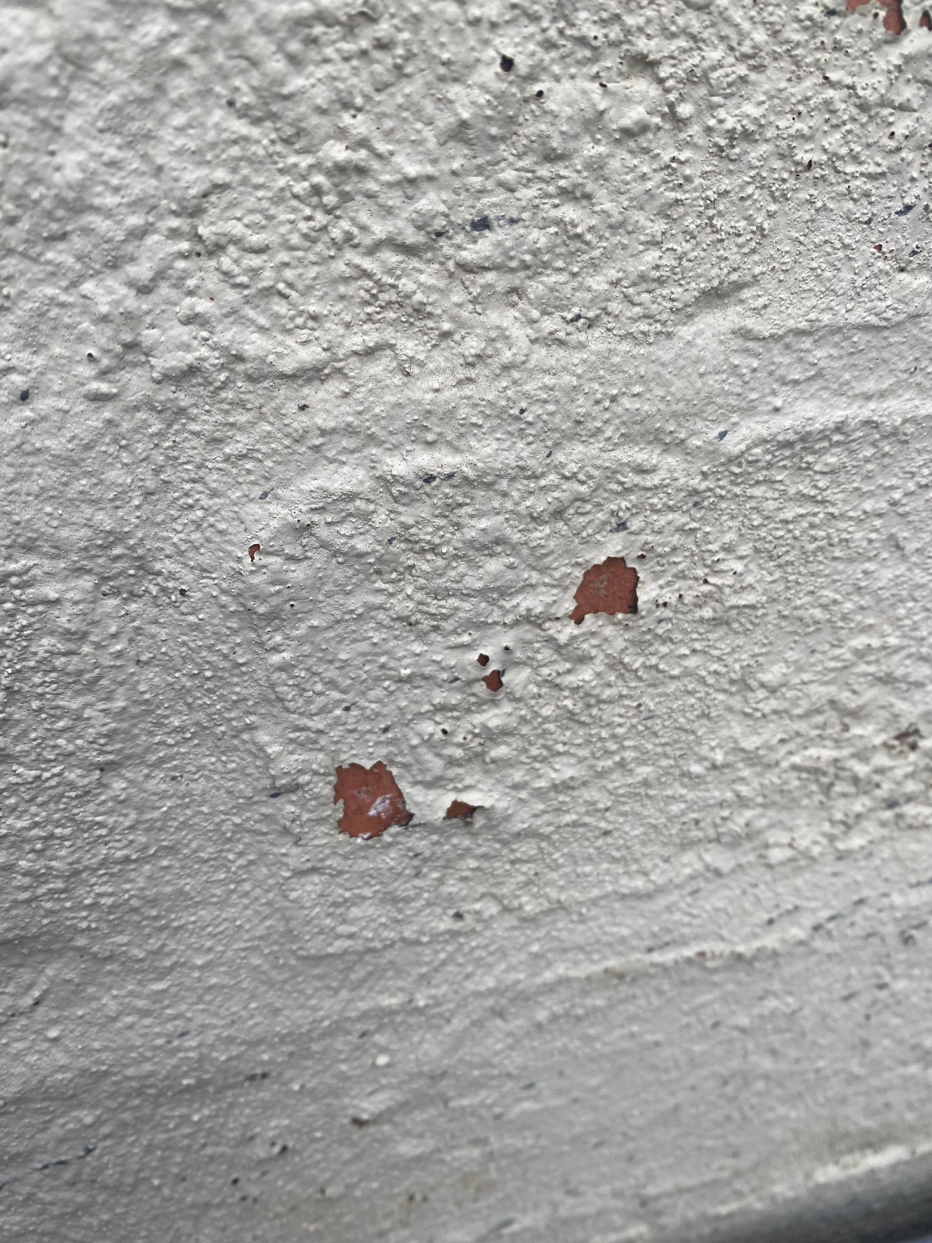 How to patch render and/or exterior pain... Bunnings community