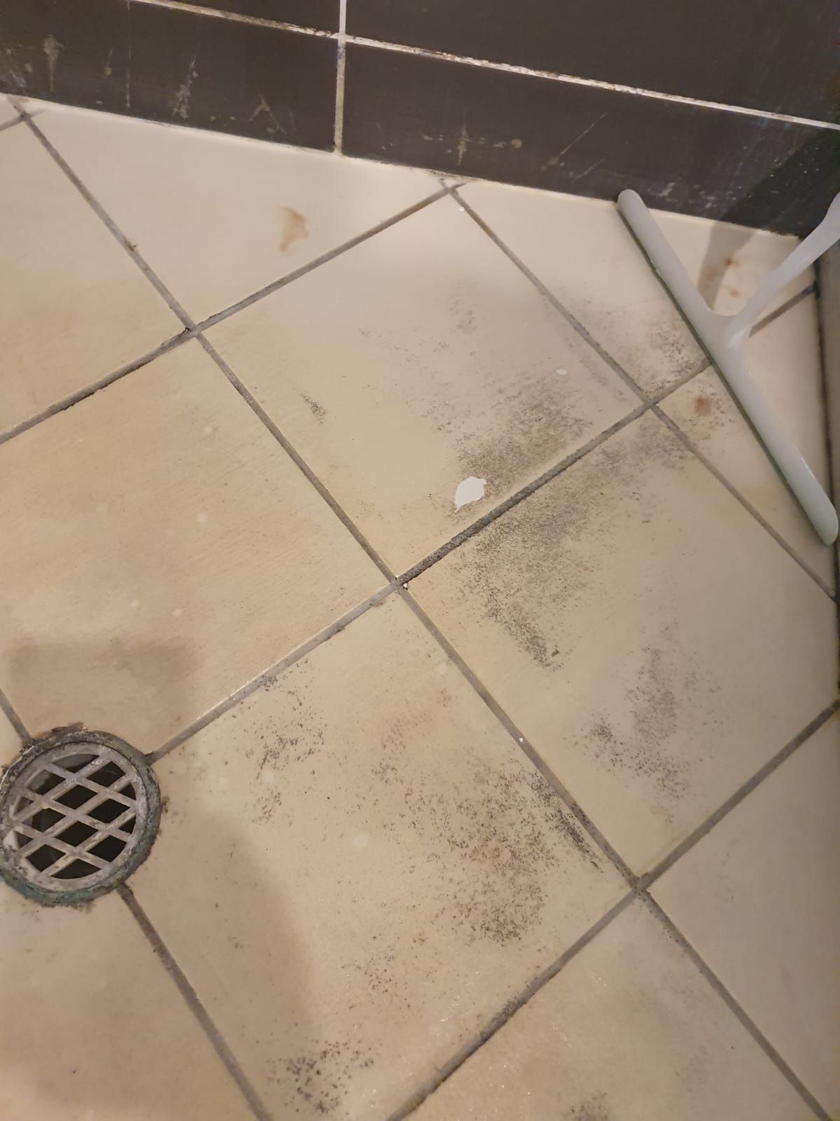 How can I clean these shower tiles? Bunnings community
