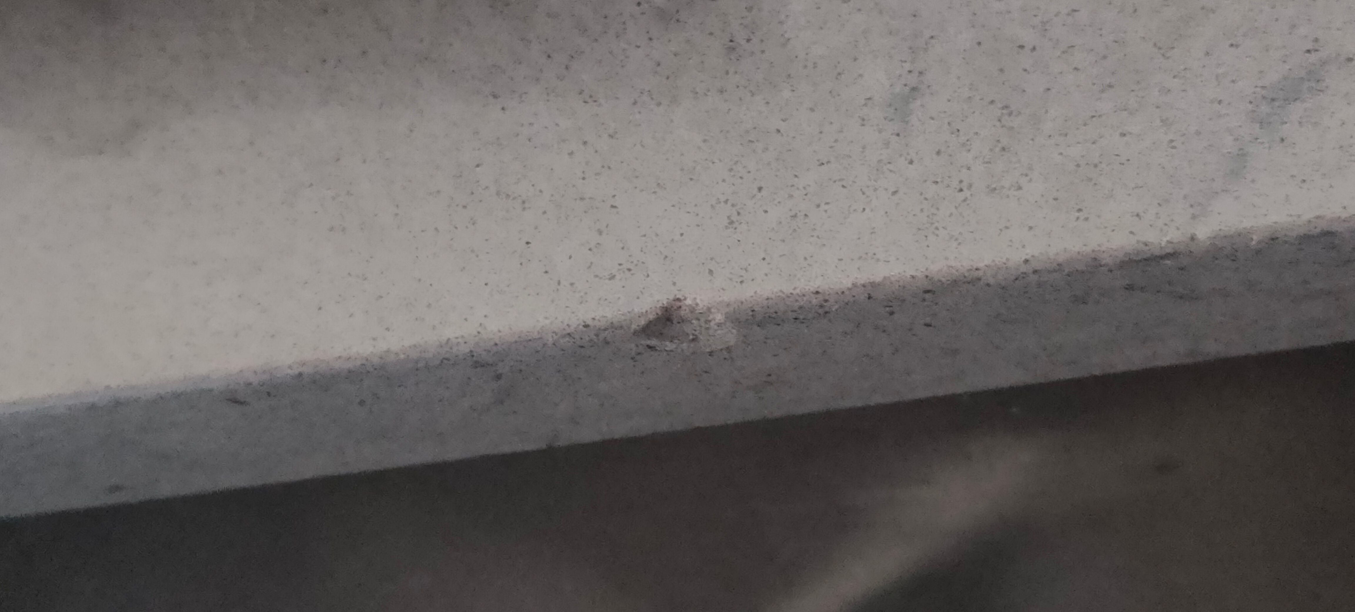 How to repair a chip and fill gaps on st... Bunnings community