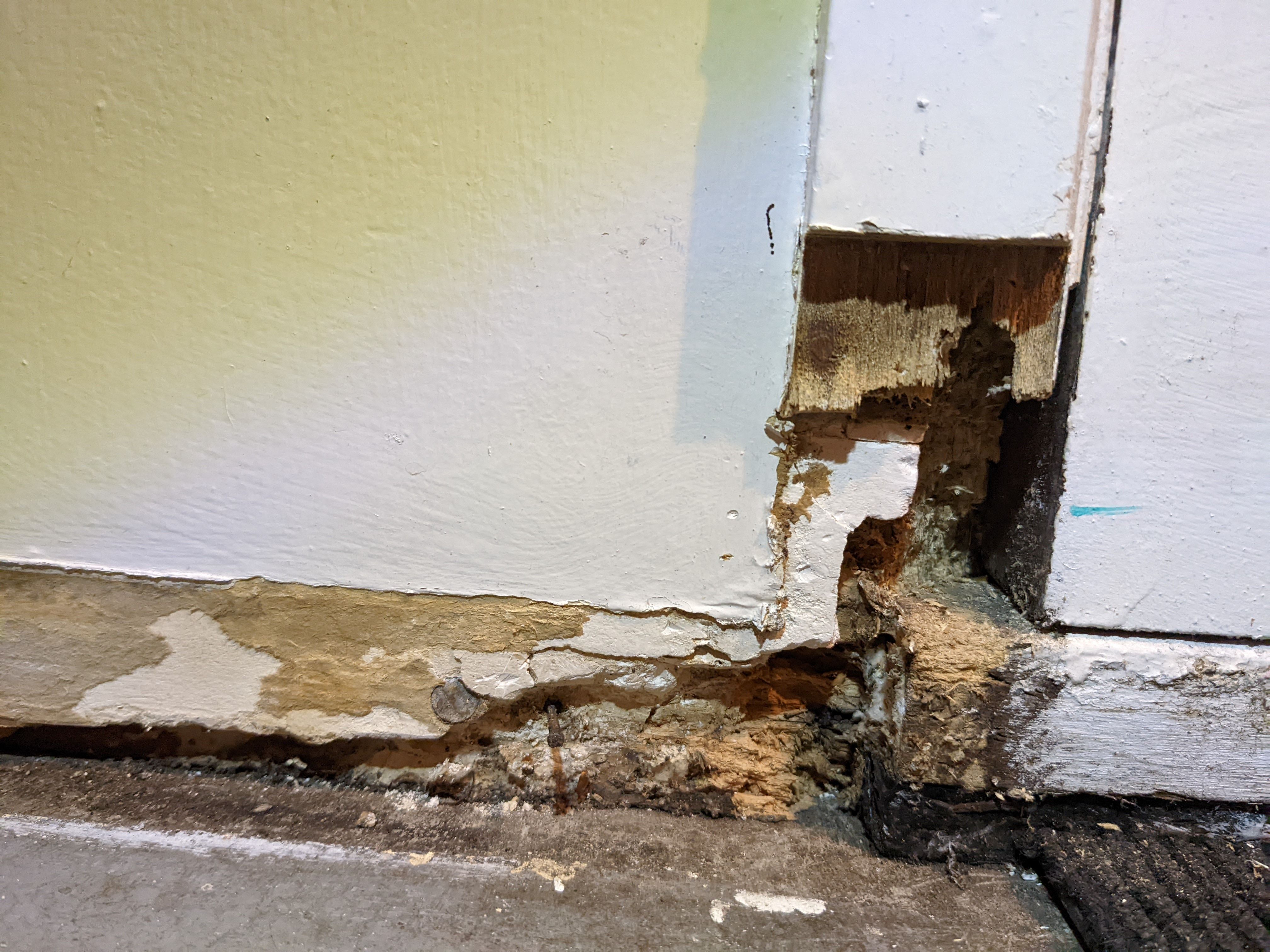 Rot in skirting board, door frame, stud.... Bunnings community