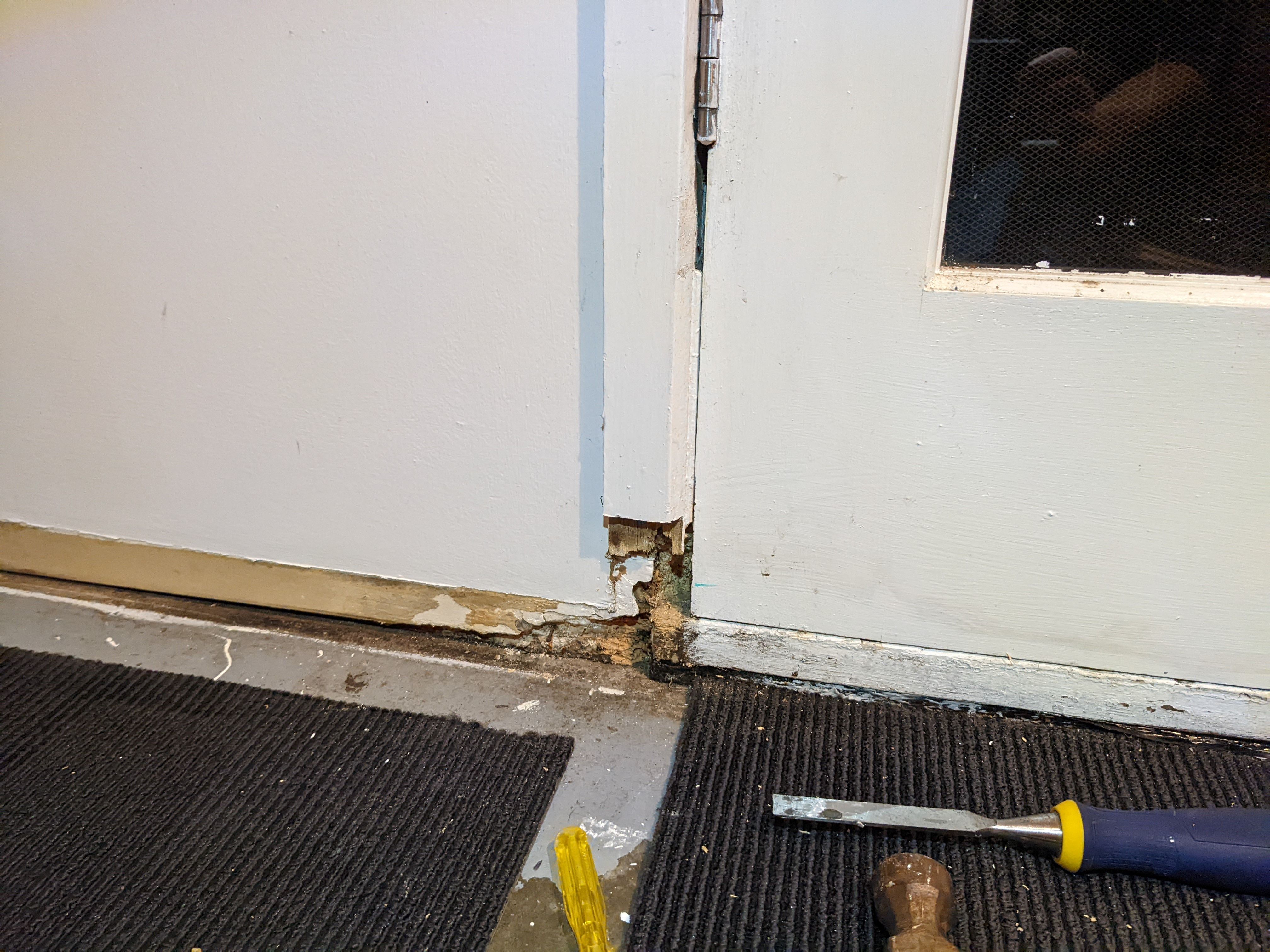 Rot in skirting board, door frame, stud.... Bunnings community