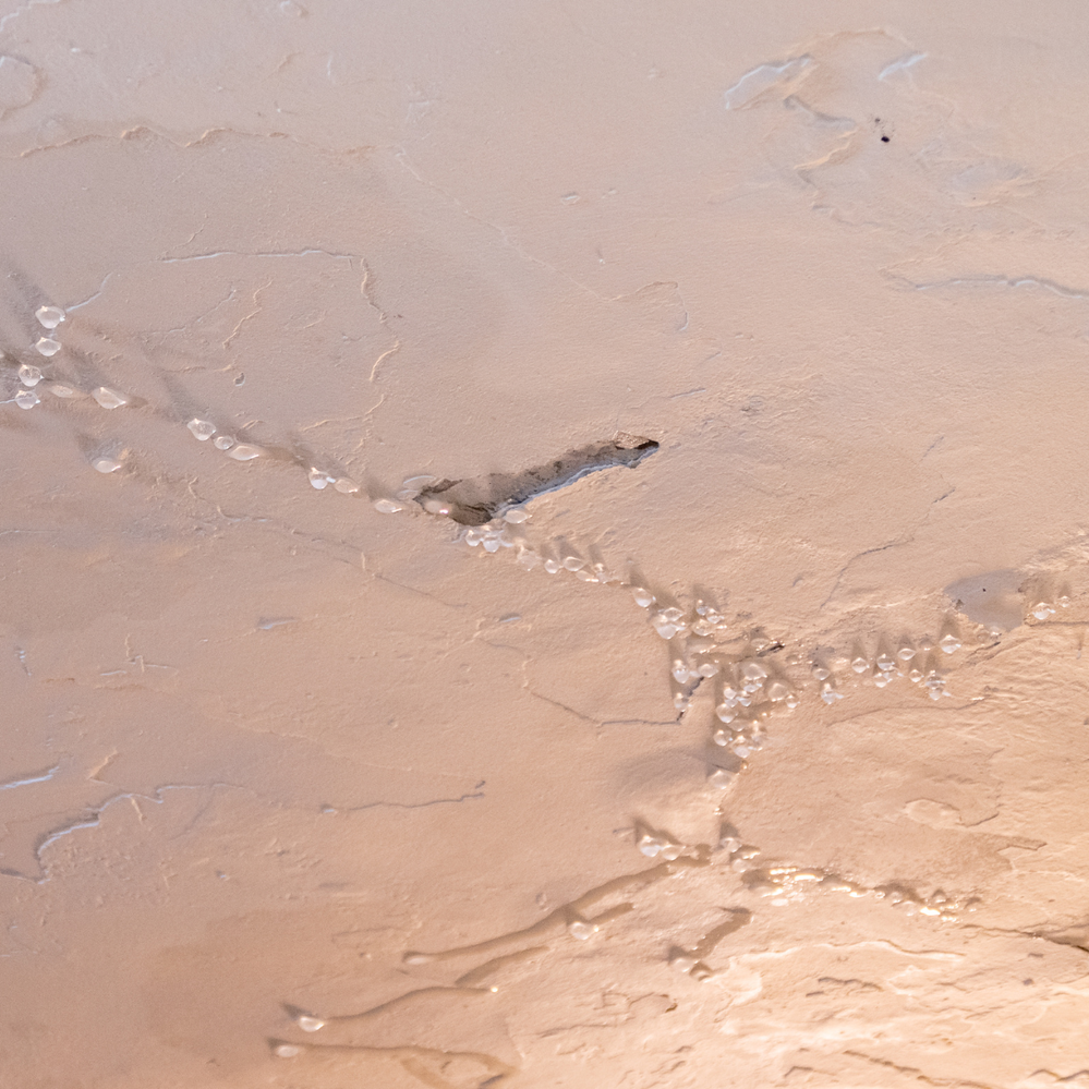 1.1 Water dripping from leaking ceiling.png