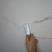 3.1 Applying plaster to damaged area.png