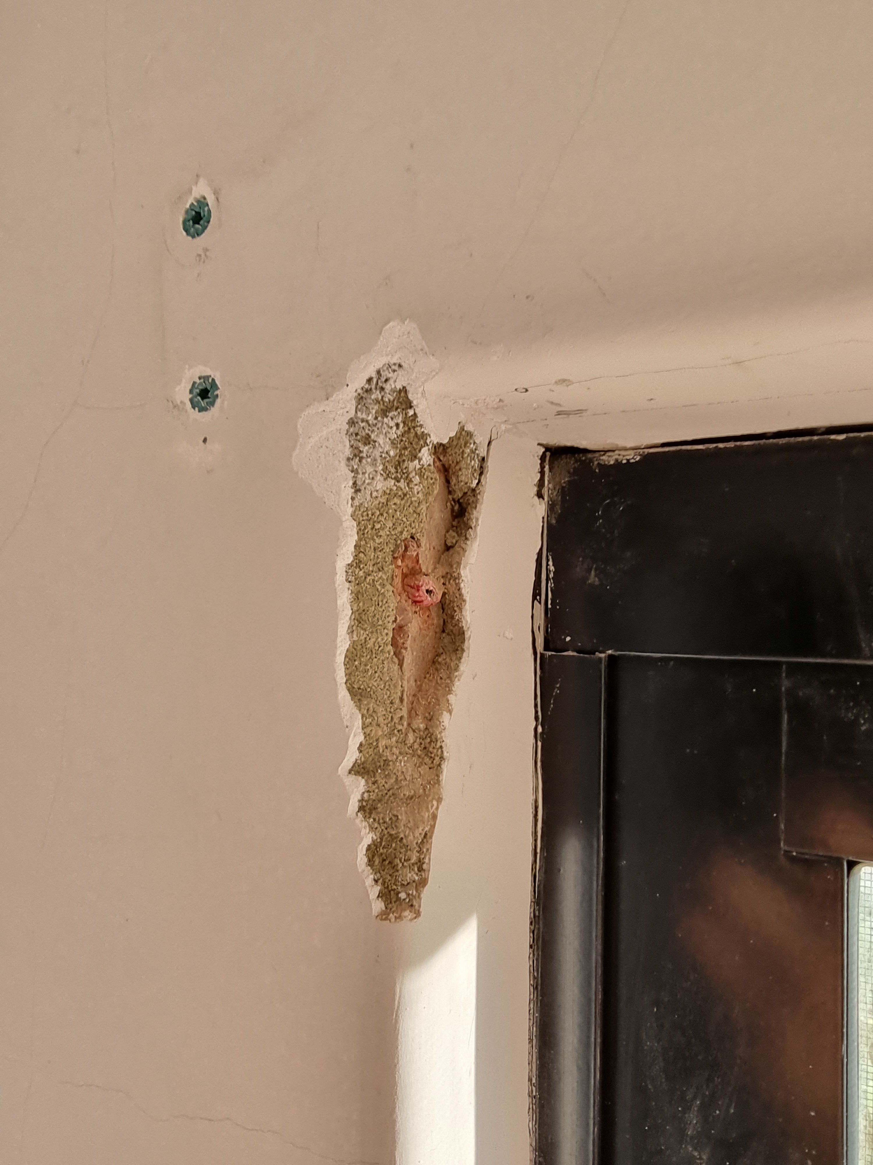 How to repaint a wall with many hairline... Bunnings community