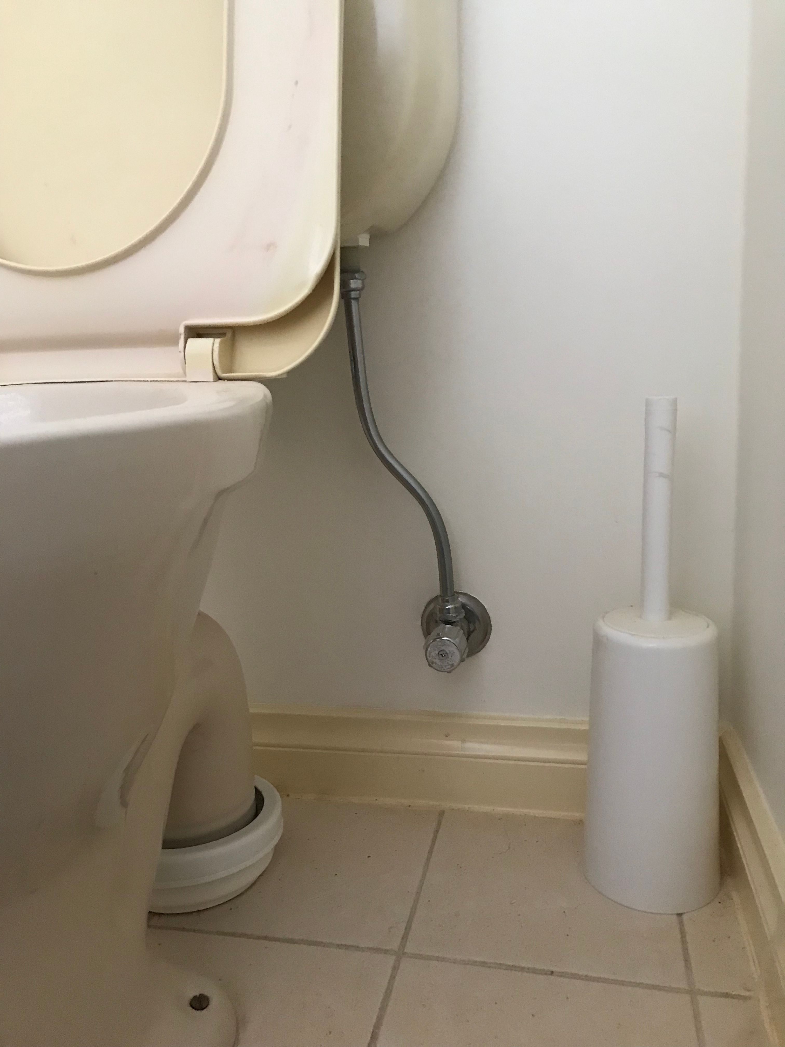 How to replace an old toilet? Bunnings community