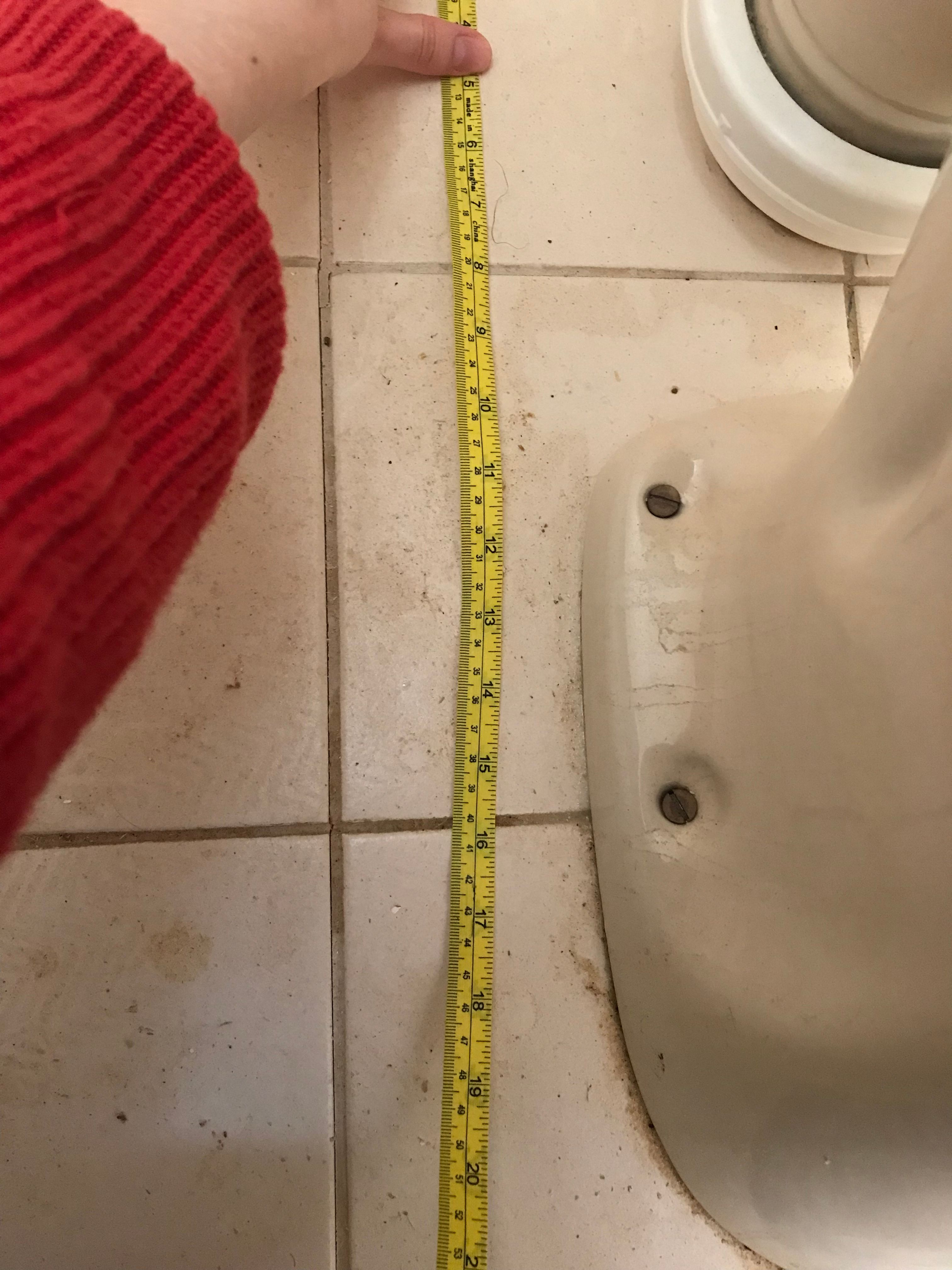 How to replace an old toilet? Bunnings community