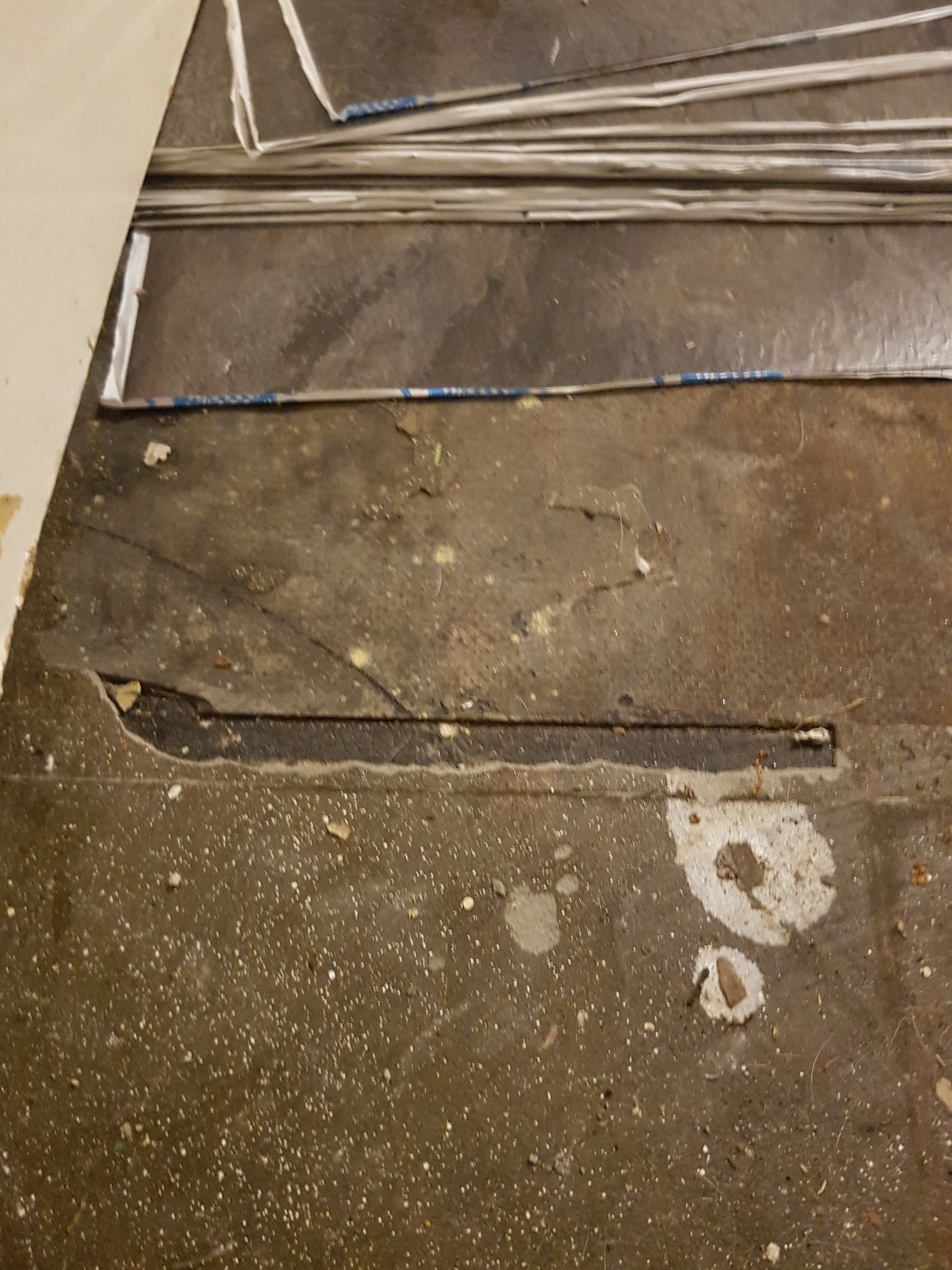 How to replace vinyl tiles? Bunnings community