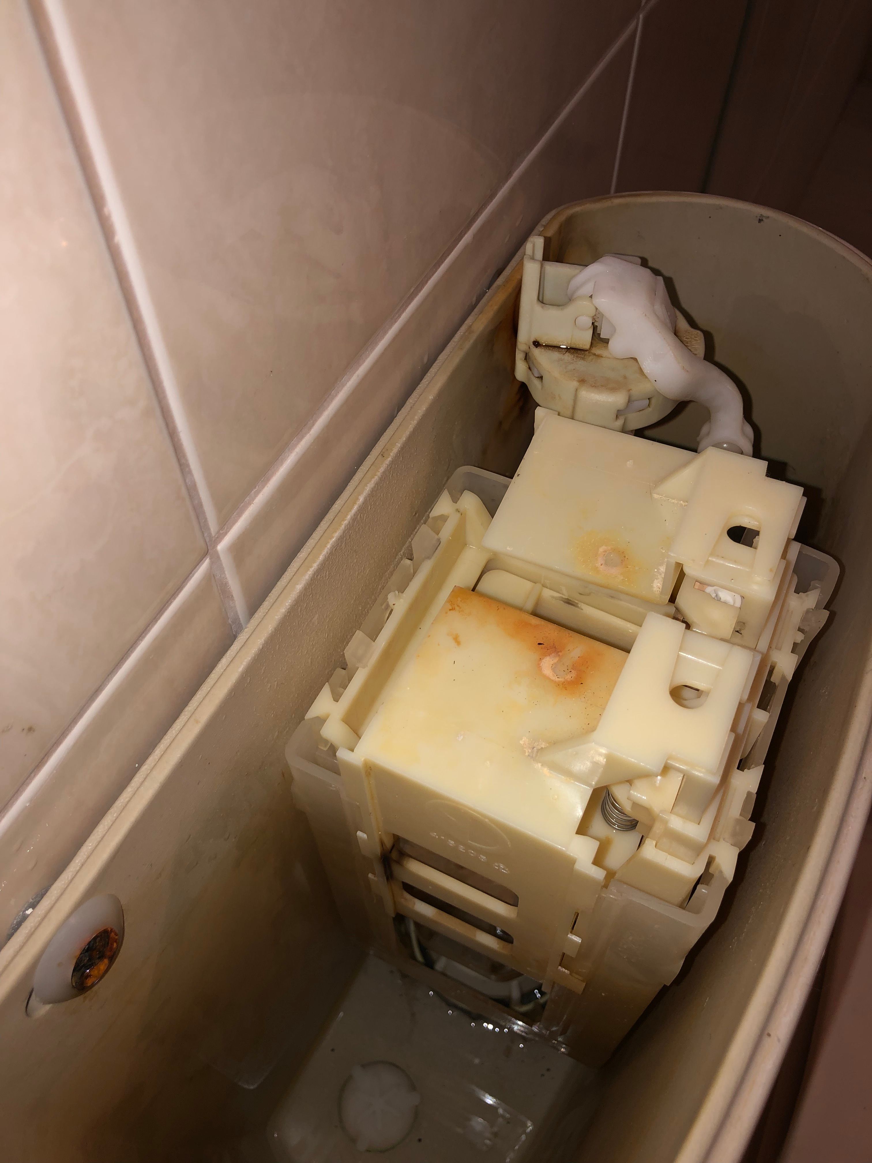 How to replace a Caroma dual flush squar... Bunnings community