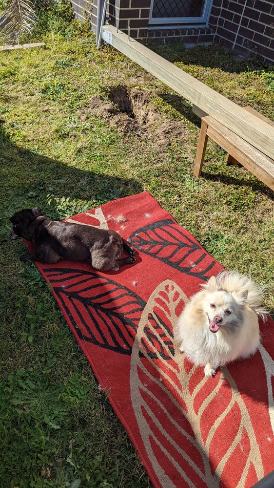 Foremen took there spots.