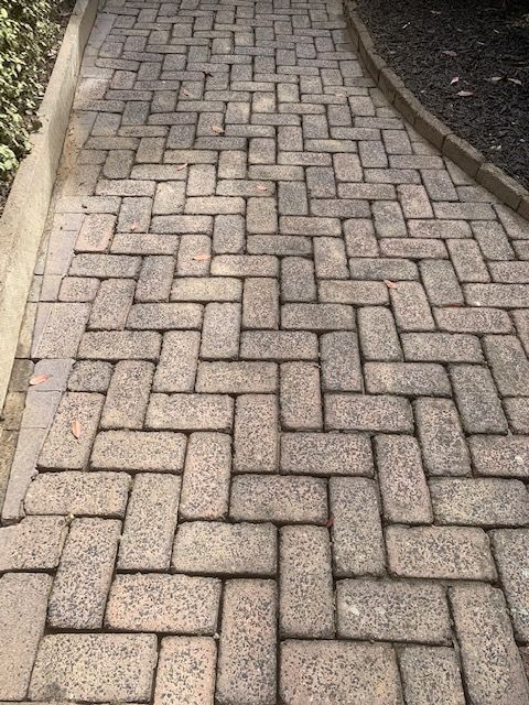 Removing Moss From Patio Paving